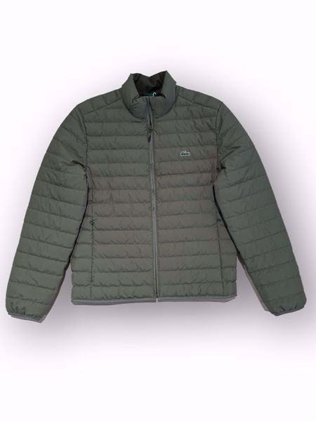 Billede af Lacoste Quilted Jacket Grøn